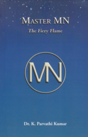 Master MN - The Fiery Flame