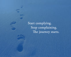 Footprints on the Path - Image 2